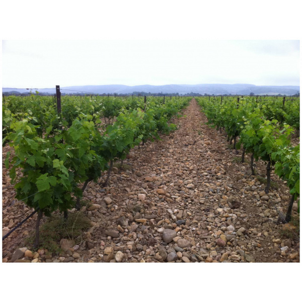 domaine ortola