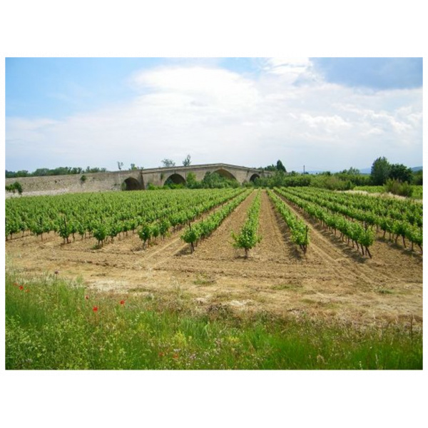 Domaine Cambriel