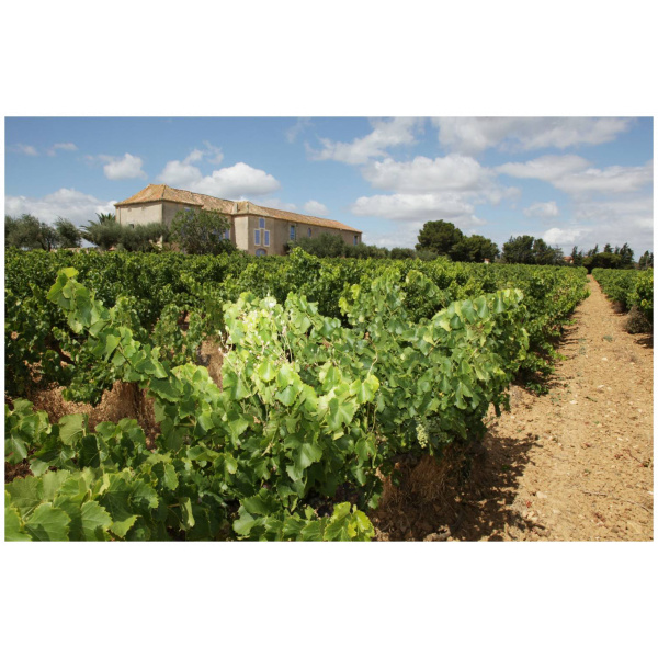 domaine ortola