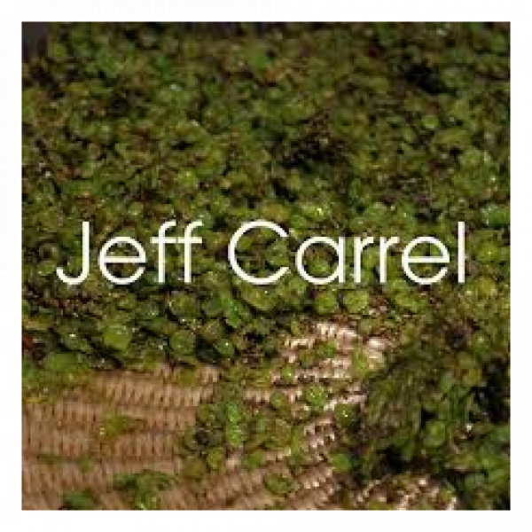 Jeff Carrel