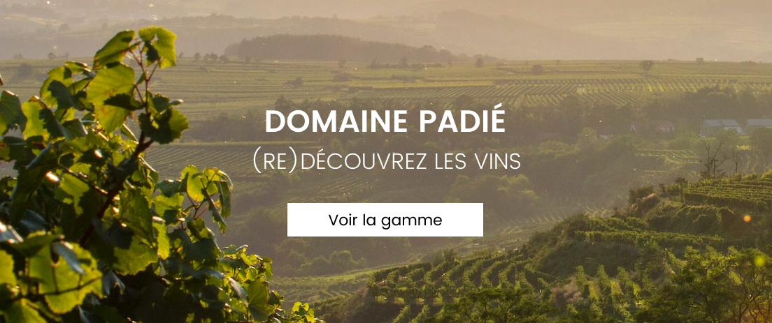 (Re)découvrez les vins Domaine Padié