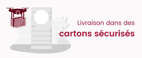 Dionysoc - Livraison dans des cartons sécurisés